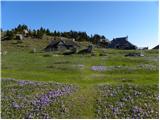 Kraljev hrib - Gradišče (Velika planina)